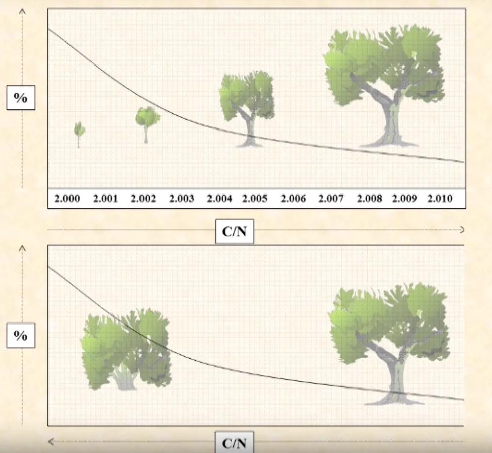 Representación gráfica del poder de enraizamiento frente a la edad de la madre y material vegetal