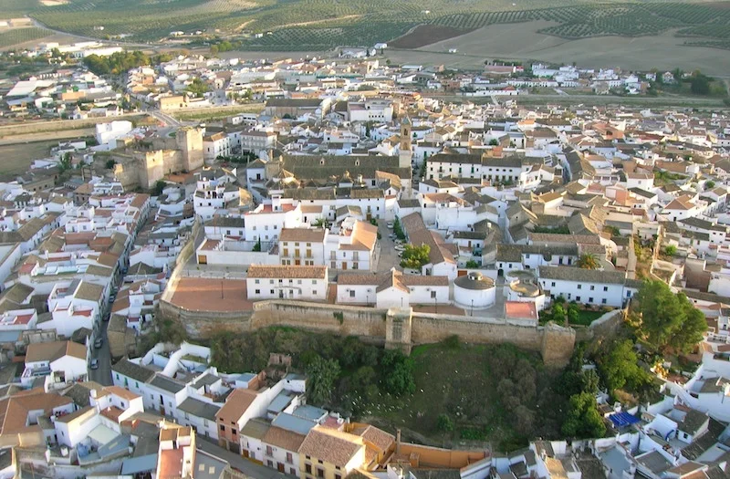 Feria del olivo