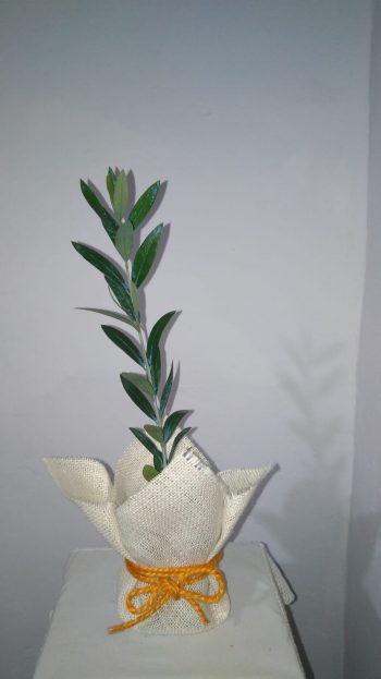 Olivo Elegante para bodas - Imagen 8