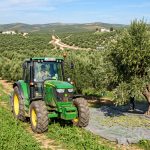 Estrategia Andaluza del Olivar