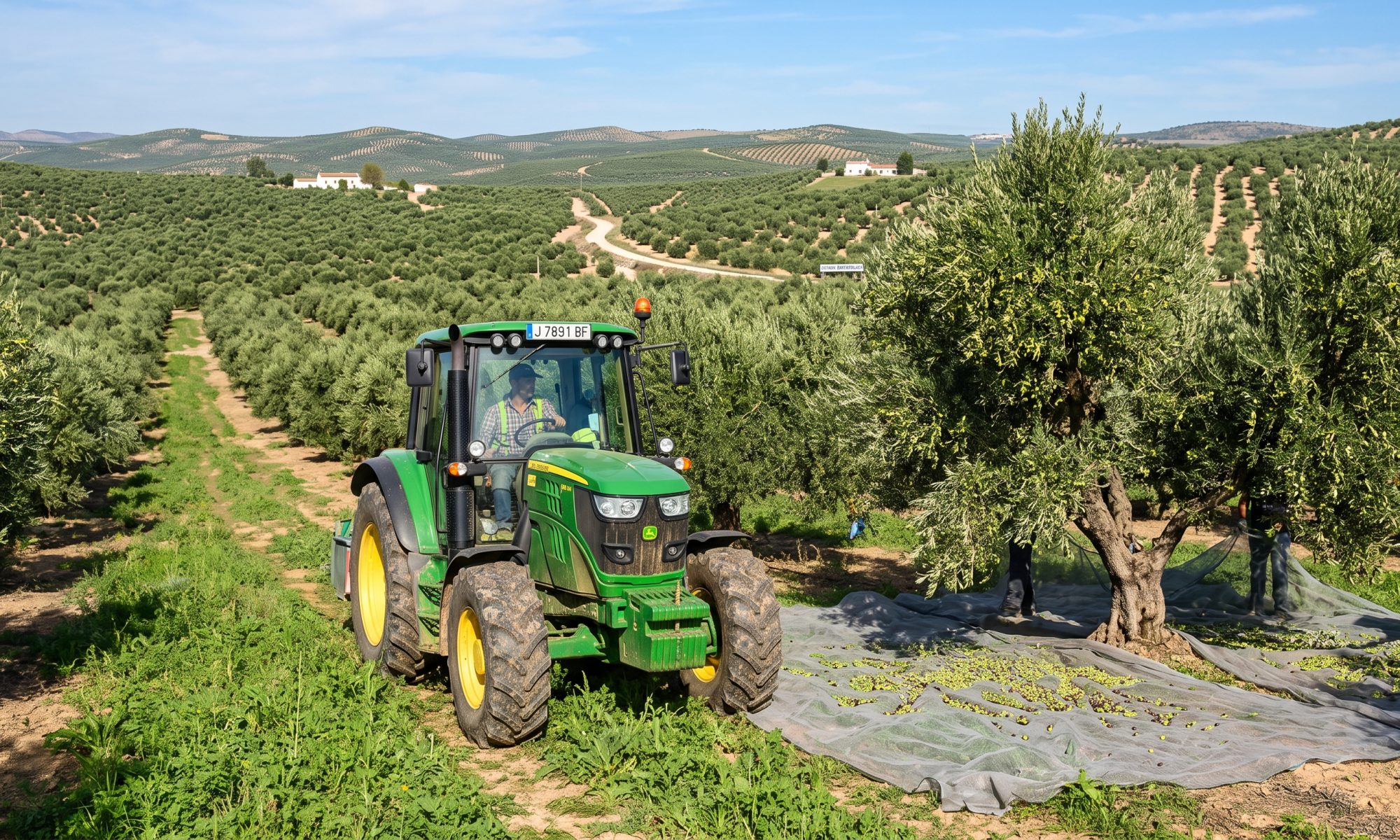 Estrategia Andaluza del Olivar