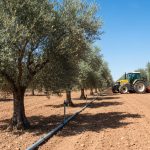 Ley de Regadío Sostenible Andalucía