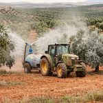 tratamiento de otoño en el olivar